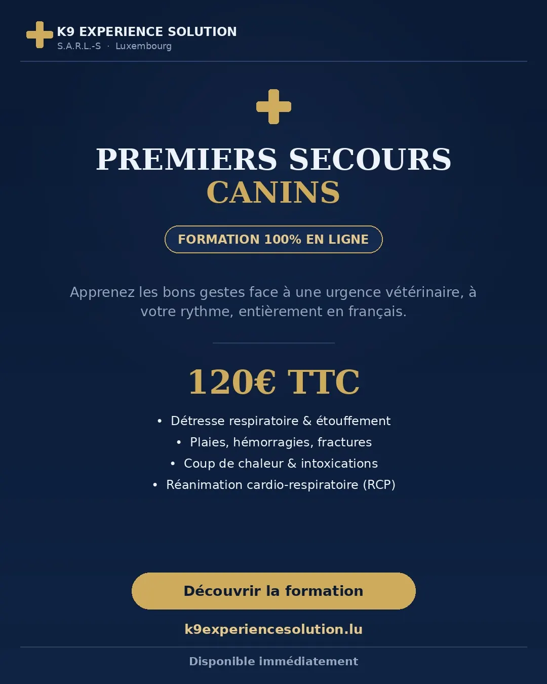 Affiche de la formation Premiers Secours Canins K9 Experience Solution, 120 euros TTC
