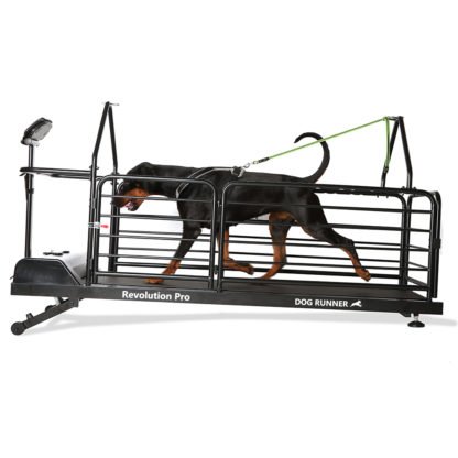 Dog Runner Revolut Pro, Dog Runner